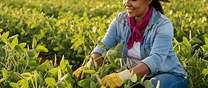 Agricultura y Agropecuaria